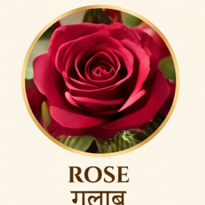 Vedu Agarbatti rose fragrance variant featuring a close-up of a red rose flower in a golden circle